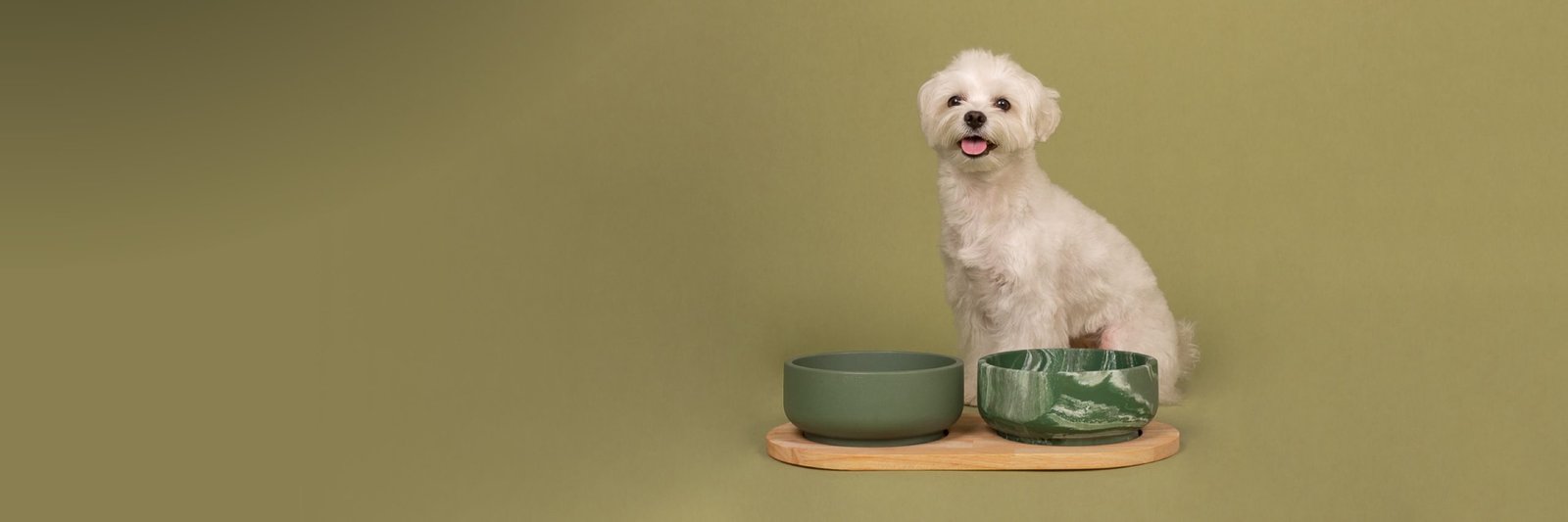 Ceramic dog bowls from the Gentlecan product range.