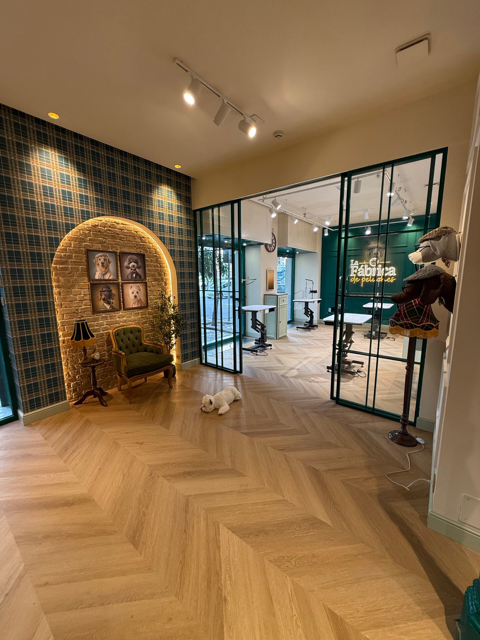 Interior of the Gentlecan pet boutique and grooming salon in Madrid.